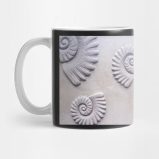 shells Mug